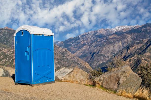 Best Porta potty rental for parties  in Hillsdale, MI