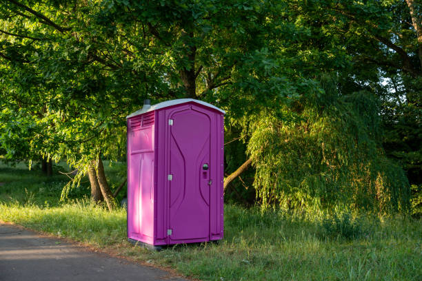 Best Local porta potty services  in Hillsdale, MI